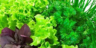 Verdi per aumentare la potenza negli uomini