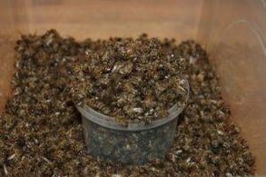 Bee scavato per aumentare la potenza