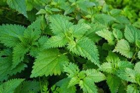 Erbe per aumentare la potenza